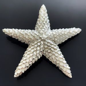 ⭐️ Stunning VTG Silver Starfish Brooch